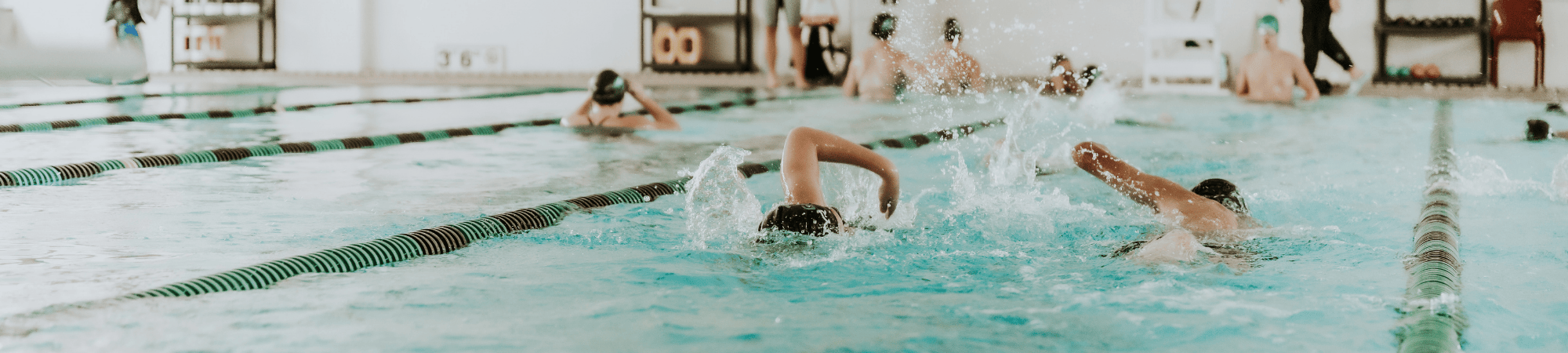 Swim team members swimming laps in the pool